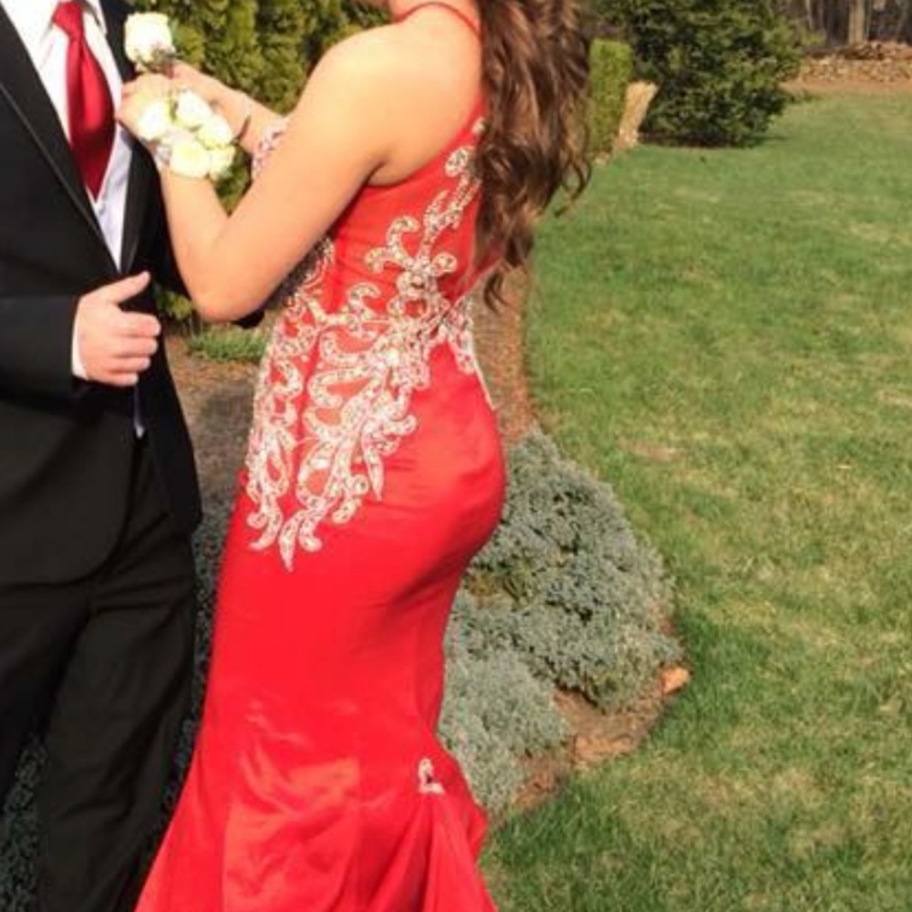 Prom Dress - Picture 3 of 5